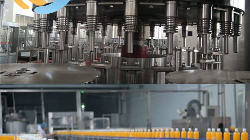 不锈钢鸡鸭脱毛机：揭秘其规格与选型要点**