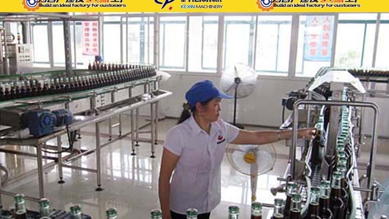 全自动食品机械型号哪家好