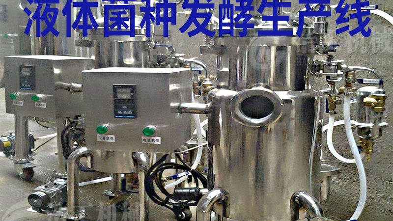 食品机械：剖析其优缺点与适用场景