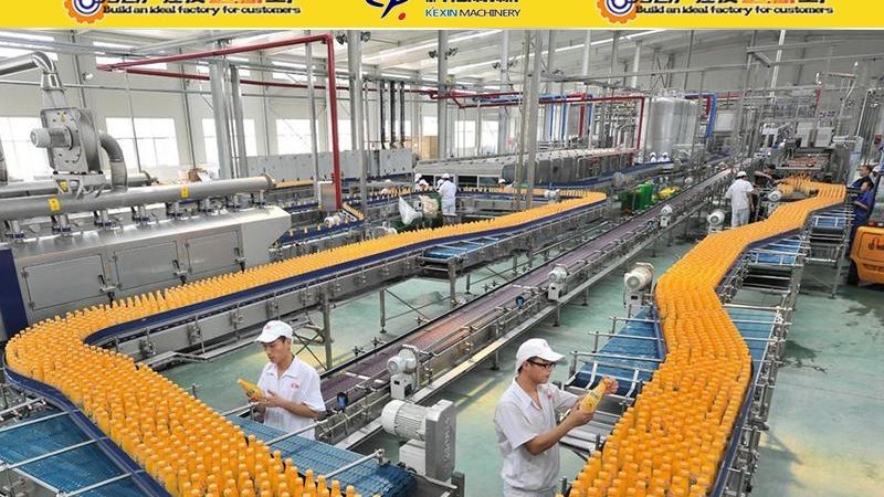 果蔬清洗加工设备：高效清洁，保障食品安全